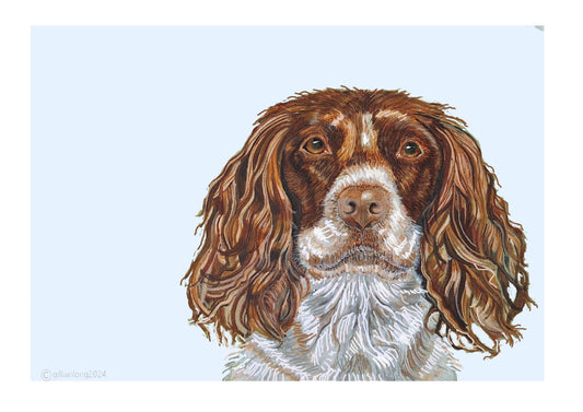 Spaniel portrait